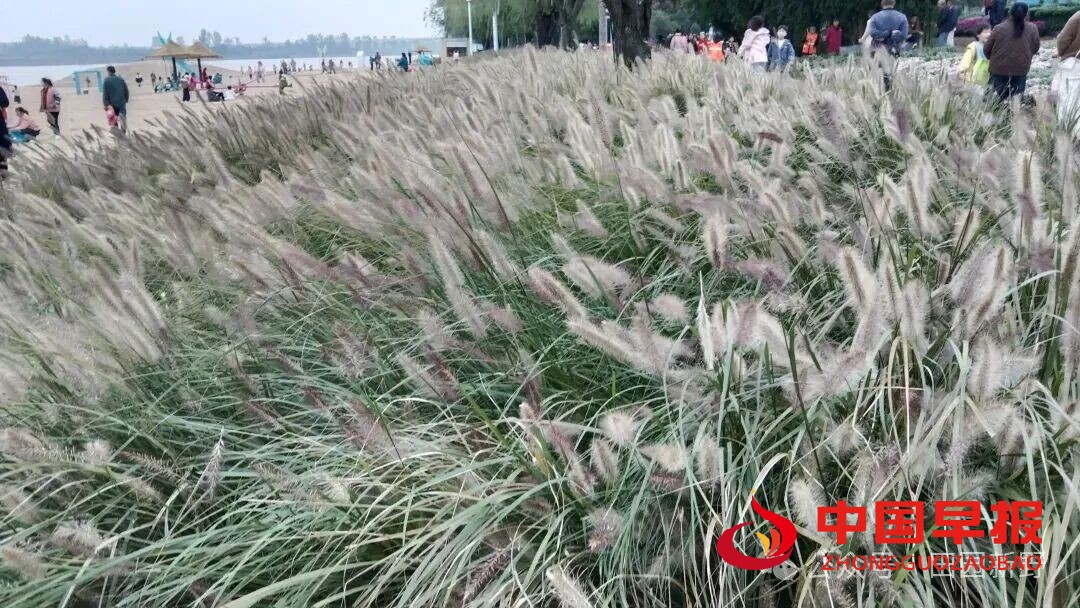 图片09.jpg