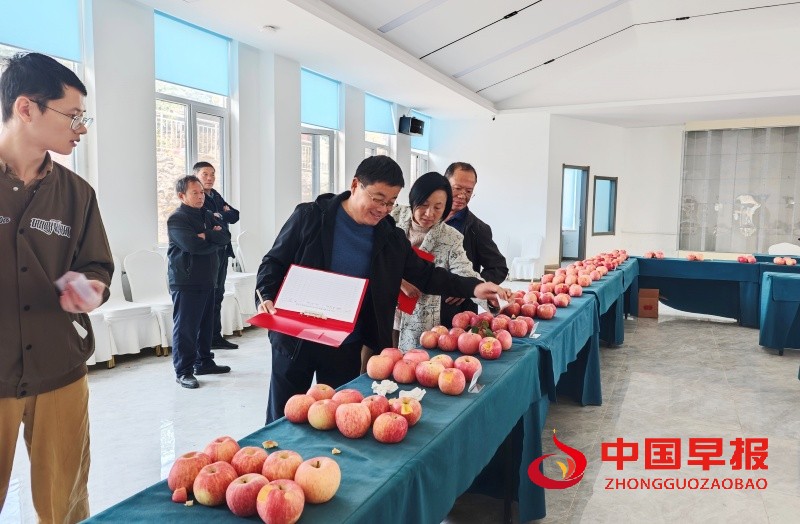 1762092805165944.jpg 5_副本.jpg