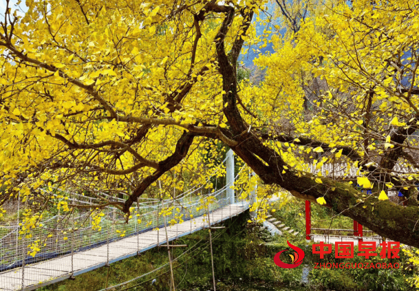 1762483988682160.png 图片02.png