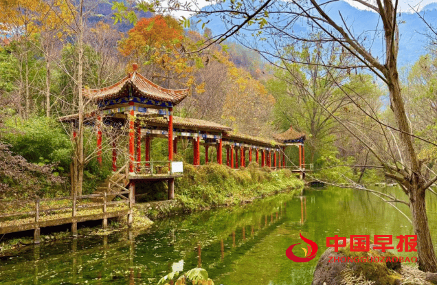 1762484144935704.png 图片05.png