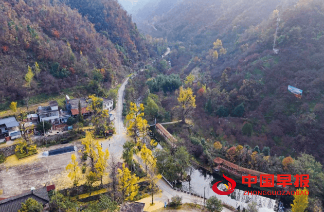 1762484159807568.png 图片06.png