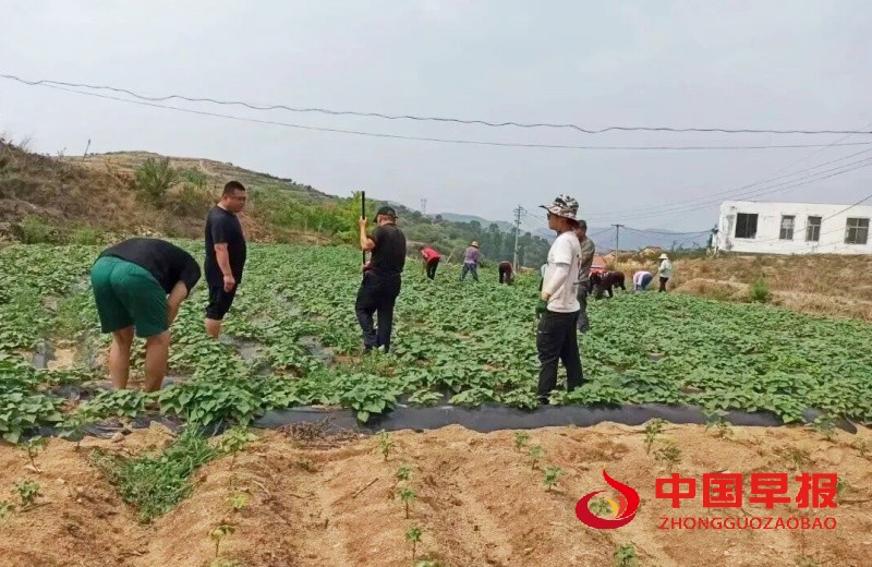 1762486018120954.jpg 640 (3)_副本.jpg