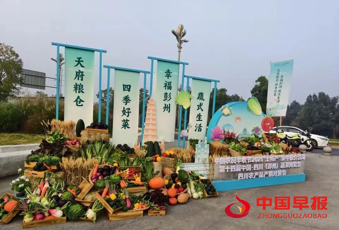 1764674160206129.jpg 图片01.jpg