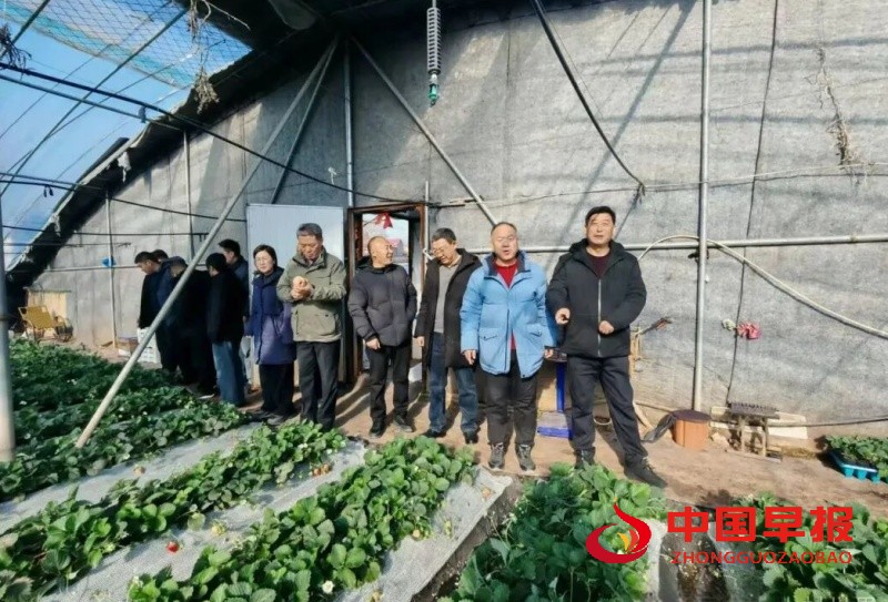 1764854813942822.jpg 640 (1)_副本.jpg