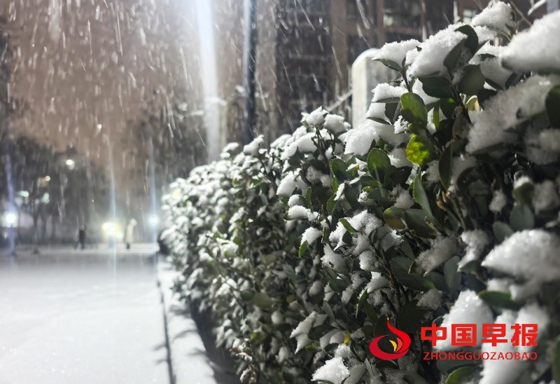 1765549538168867.jpg 微信图片_20251212211554_4117_35_副本.jpg