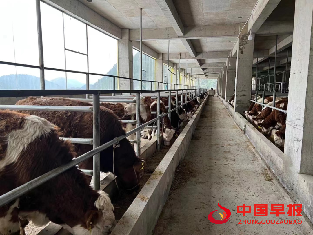 1765789380286364.png 图片06.png